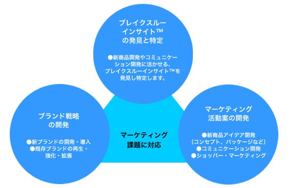 ブレイクスルーインサイトの発見と特定。マーケティング活動案の開発