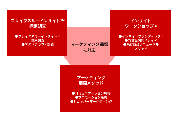 ブレイクスルーインサイト探索調査。マーケティング展開メソッド